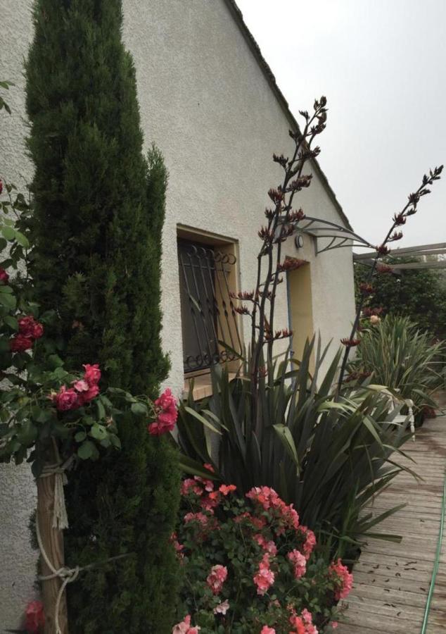 La Villa Vaihere En Camargue, L'Hibiscus Et Le Magnolia Saintes-Maries-de-la-Mer Zewnętrze zdjęcie
