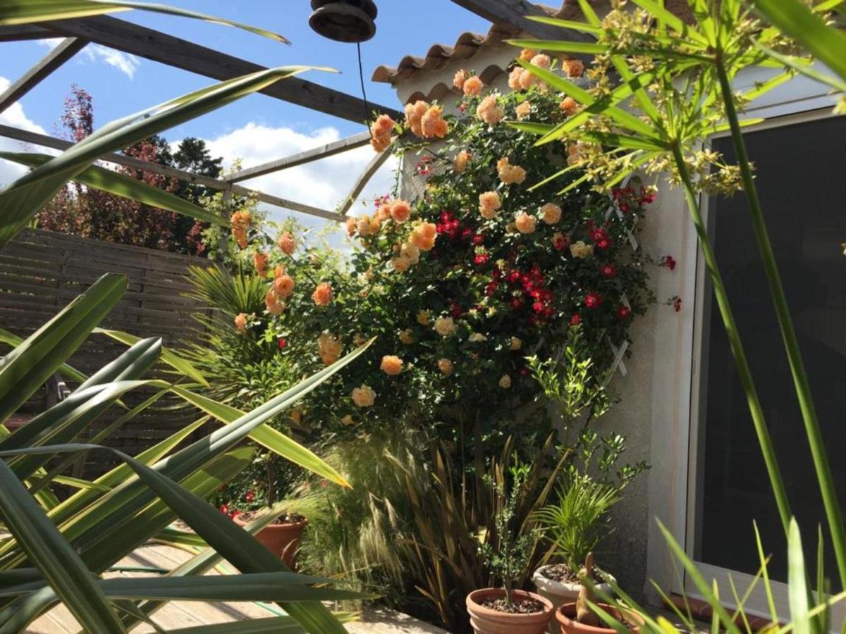 La Villa Vaihere En Camargue, L'Hibiscus Et Le Magnolia Saintes-Maries-de-la-Mer Zewnętrze zdjęcie